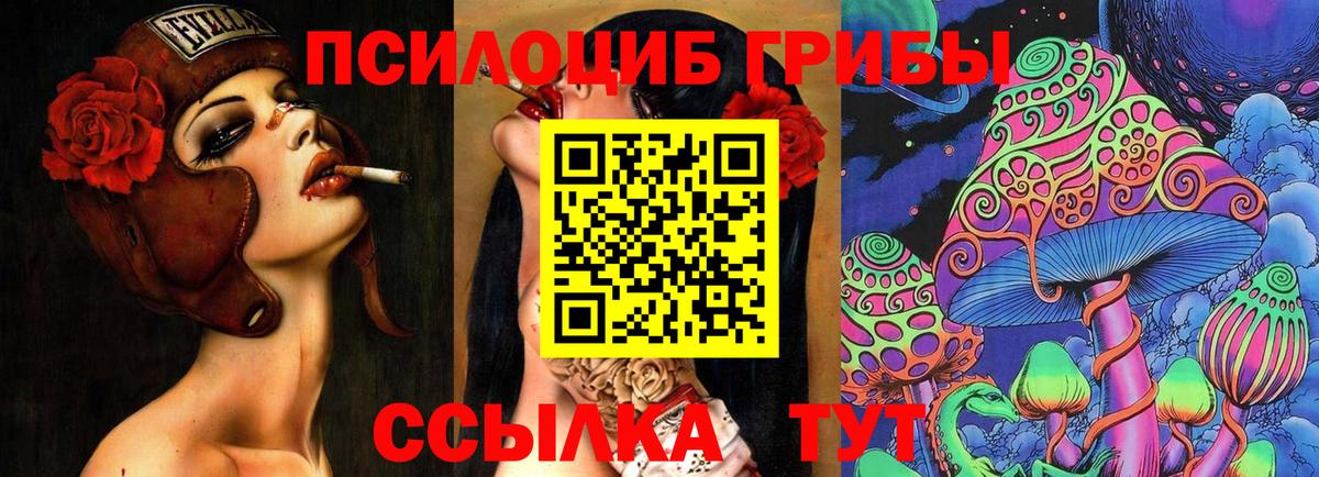 Барнаул  Галлюциногенные грибы Psilocybe  Вход с VPN 